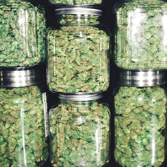 THCa Flower Storage Best Practices for Long-Lasting Freshness