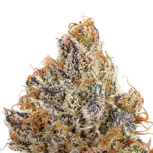 Donny Burger: The Story Behind the Strain