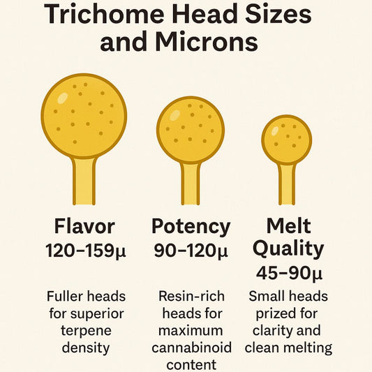 Understanding Micron Sizes in Hashmaking