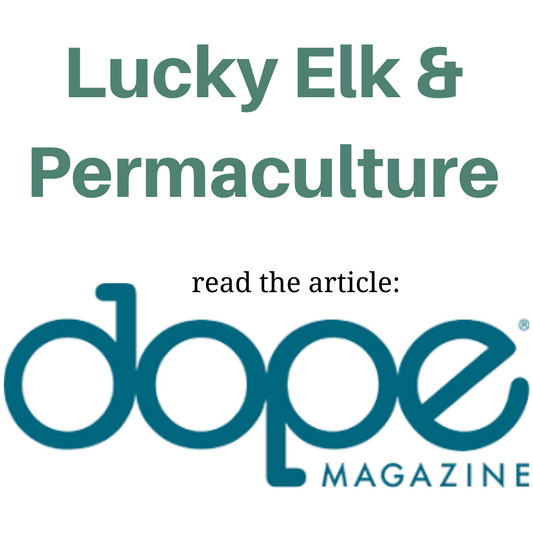 Lucky Elk featured in DOPE magazine