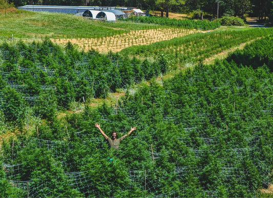 Always Choose the Best Grass