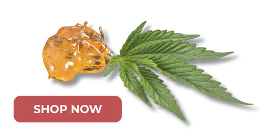 What Is Badder? A Guide to This Creamy Cannabis Concentrate