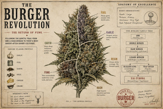 The Burger Revolution: The Return of Funk