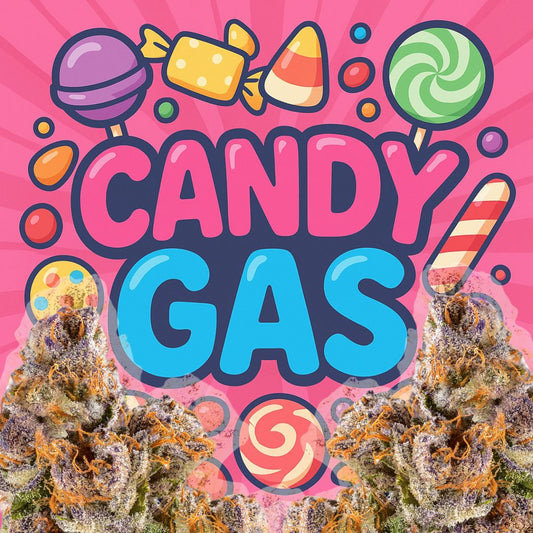 🍭 Candy Gas: The Sweet & Funky Rise of Flavor-First THCa Flower