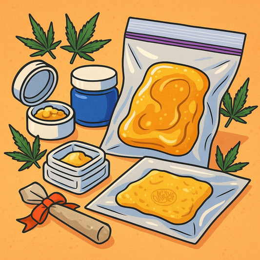 How to Store THCa Concentrates: Best Practices for Flavor, Potency, and Longevity