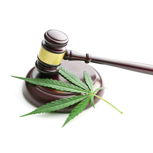 Understanding the New Federal Hemp Rules: What Changed, What’s Unclear, and What Comes Next