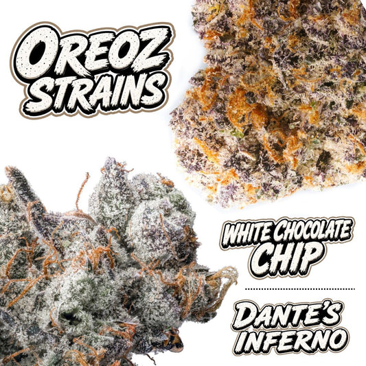 Oreoz Strains Blog Image