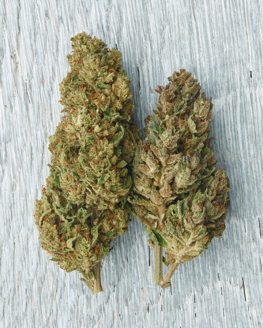 Indica vs. Sativa vs. Hybrid: What it Actually Means