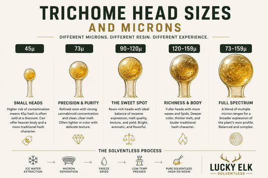 Understanding Micron Sizes in Hashmaking
