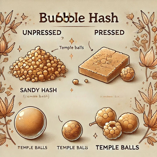 The Different Types of Bubble Hash