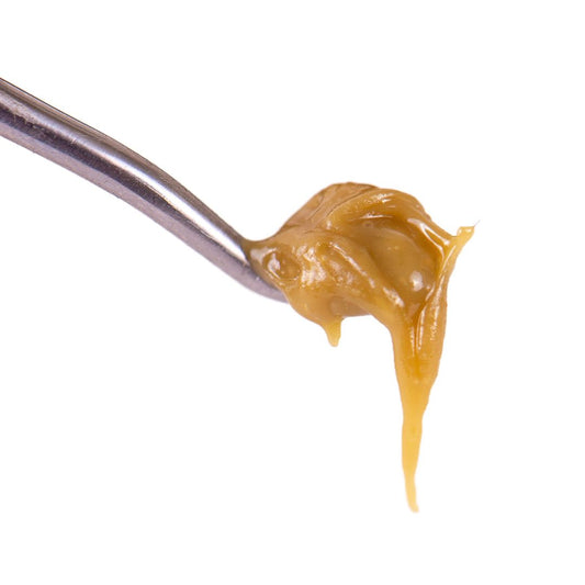 dab of cannabis concentrate on a metal tool