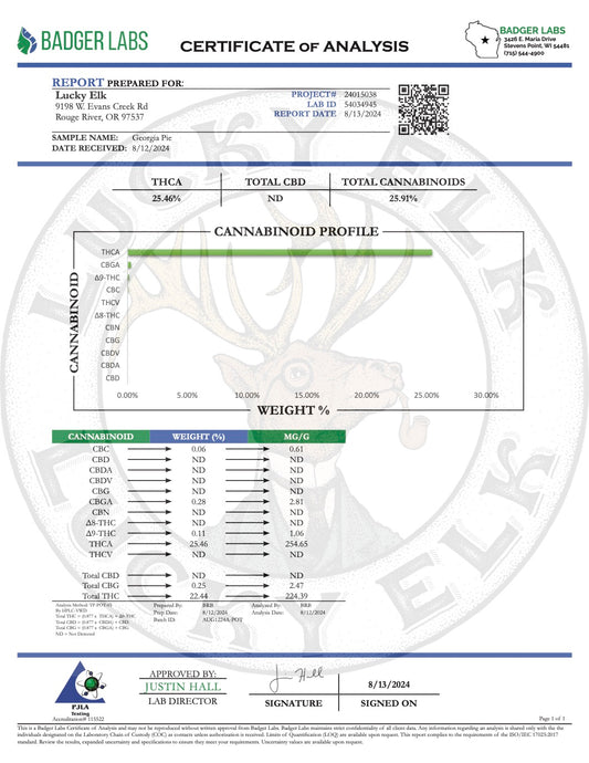 COA Tests 19