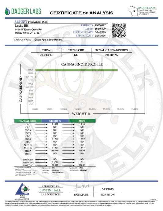 COA Tests 1