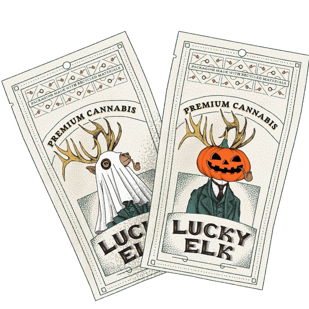 Halloween Trick or Treat · Free Gift