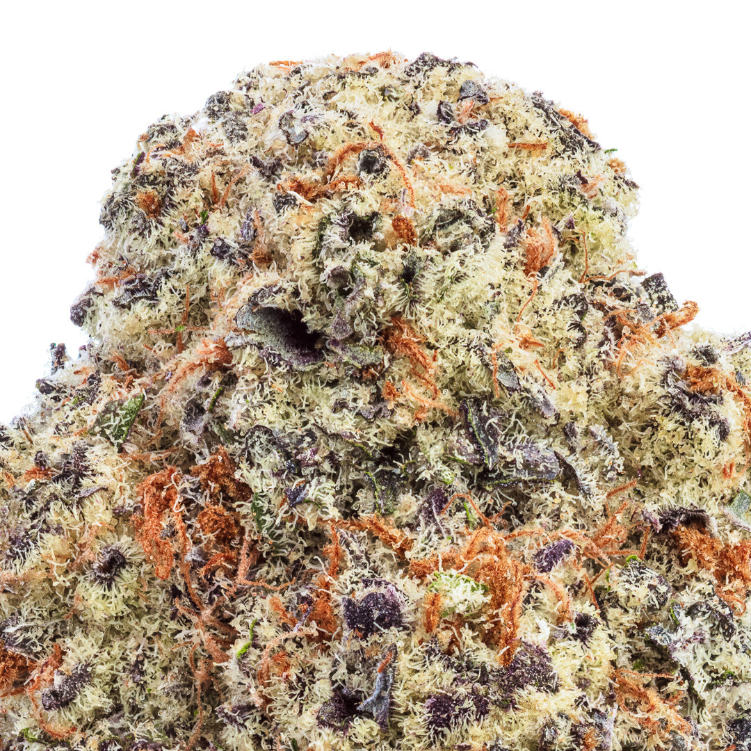 Flex Panther THCa