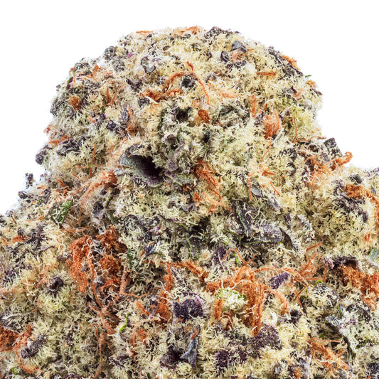 Flex Panther THCa