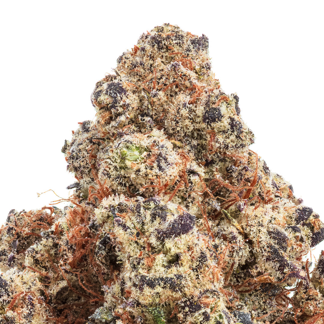 Lizard Burger THCa