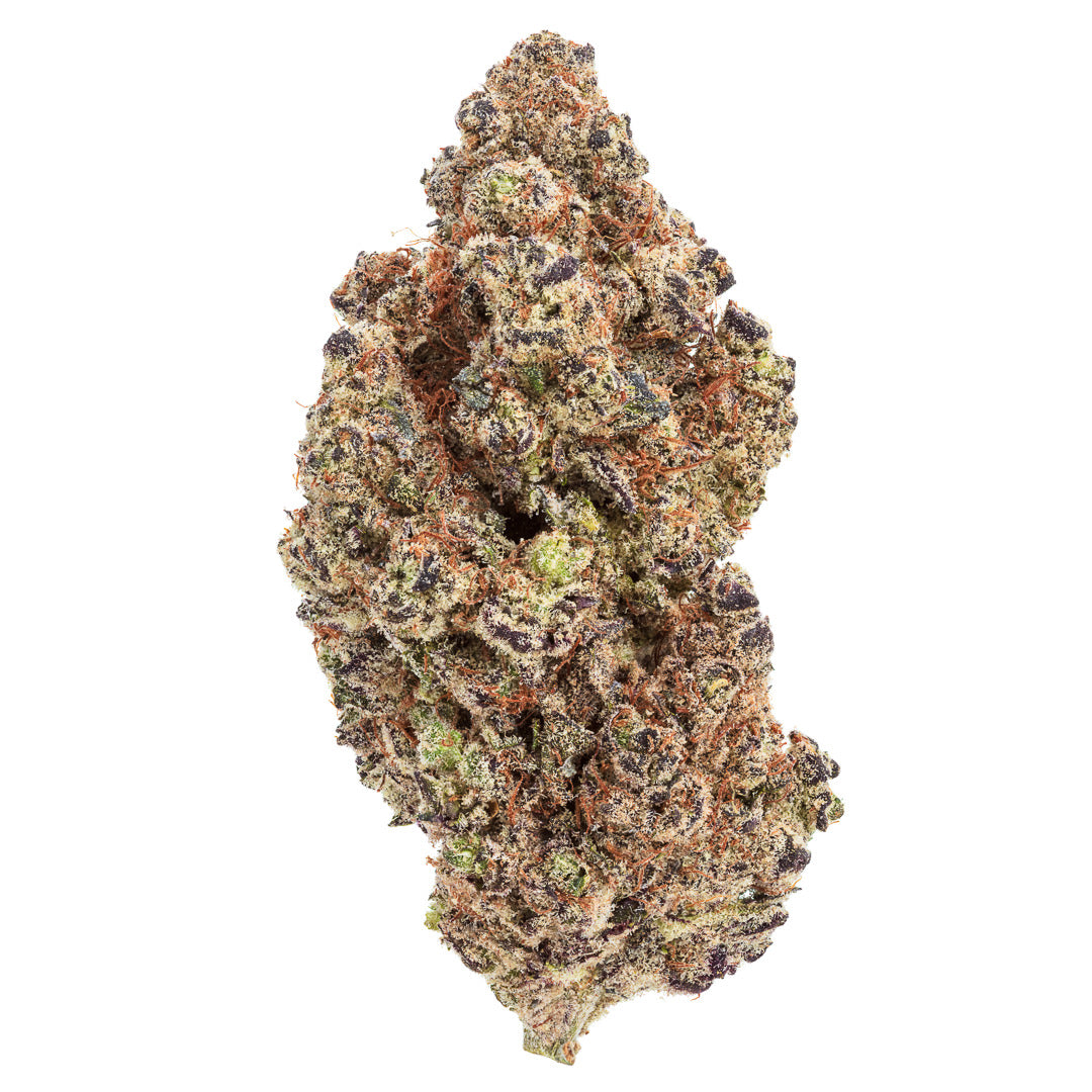 Lizard Burger THCa