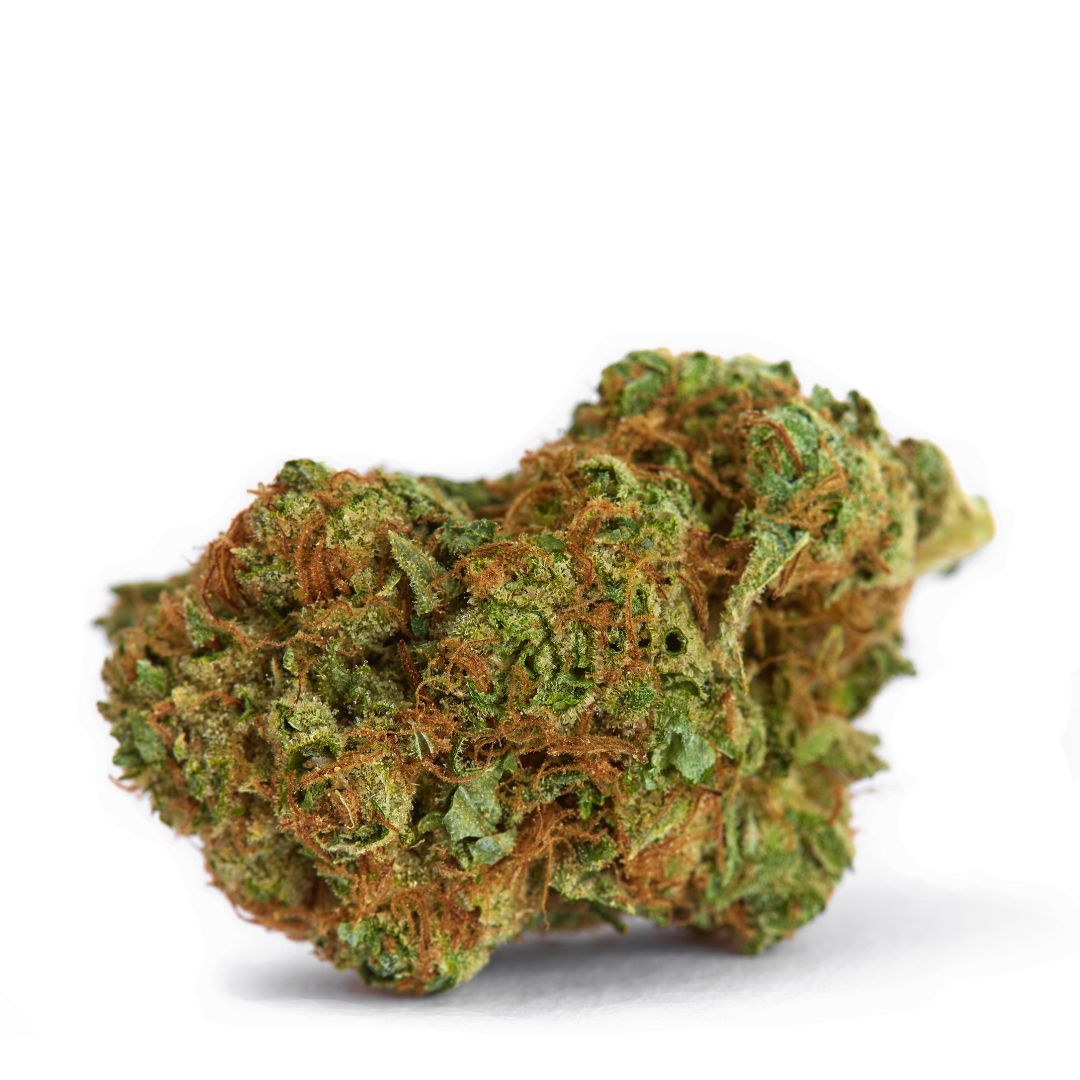 Biscotti Pancakes · Sungrown THCa Flower