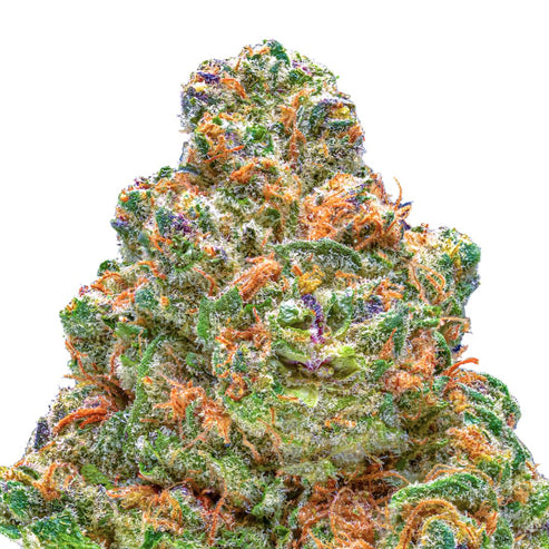 Blackberry Superboof Thca Lucky Elk