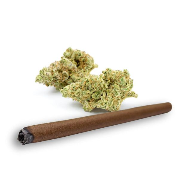 Thca Blunt Lucky Elk