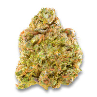 Cali Burger THCa