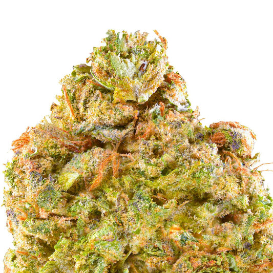 Cali Burger THCa