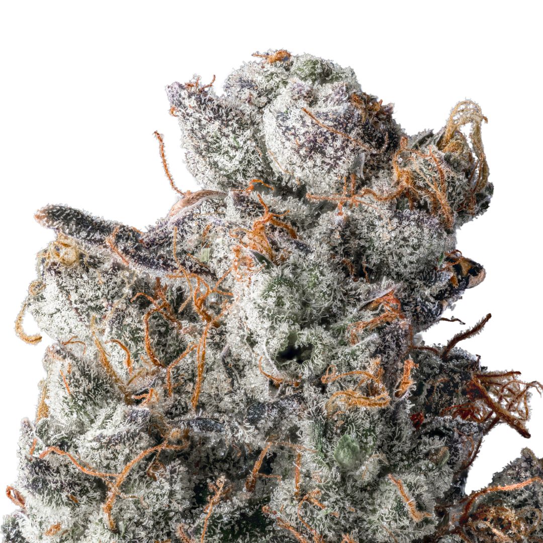 Dante's Inferno THCa