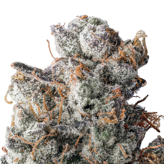 Dante's Inferno THCa
