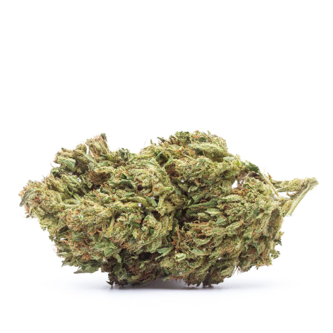 Close-up of a cannabis bud on a white background