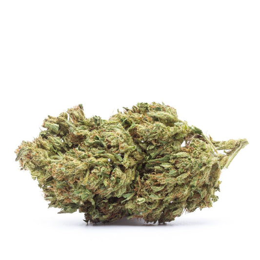 Close-up of a cannabis bud on a white background