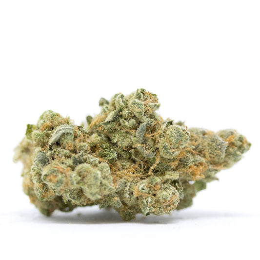 Close-up of a cannabis bud on a white background