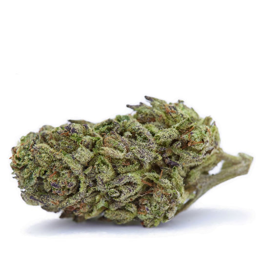 GMO Rootbeer THCa