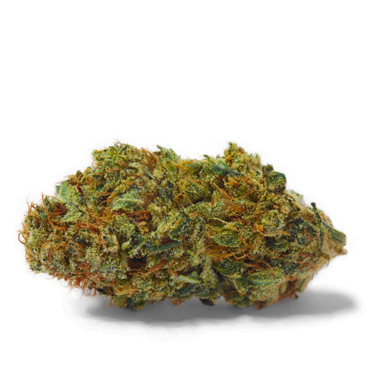 Gorilla Dog THCa