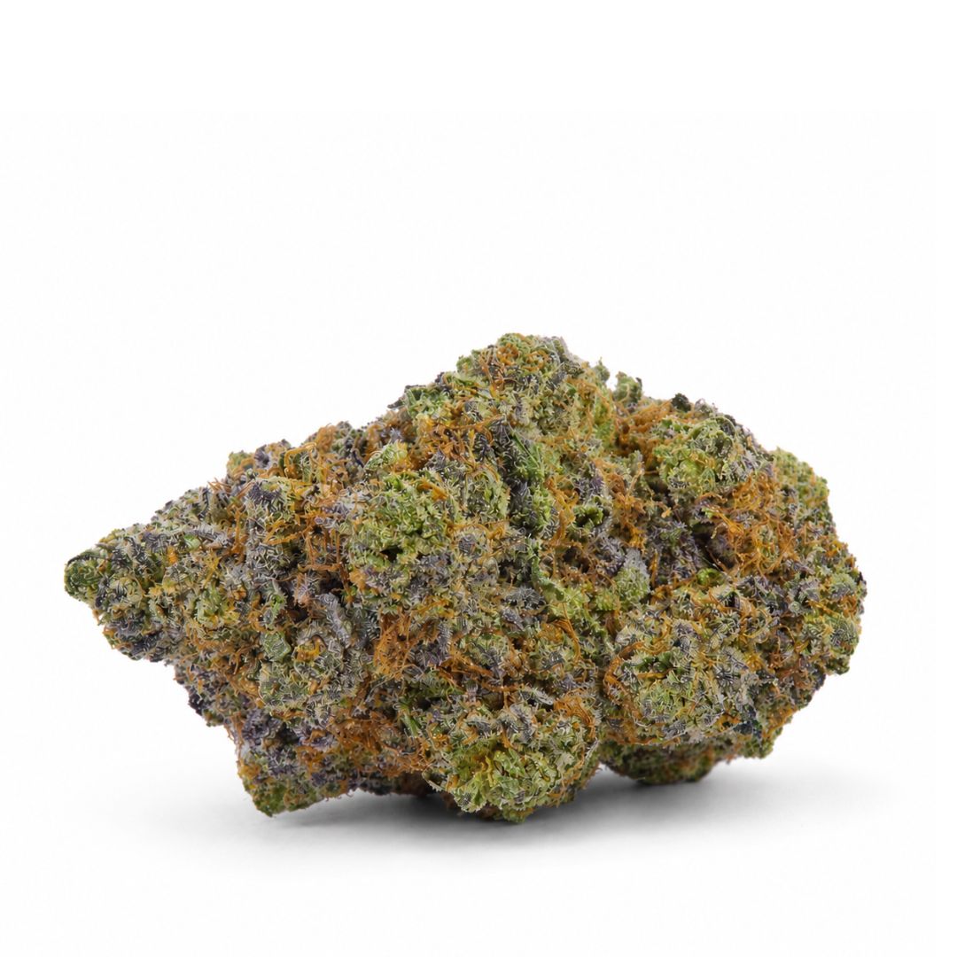 Close-up of a cannabis bud on a white background
