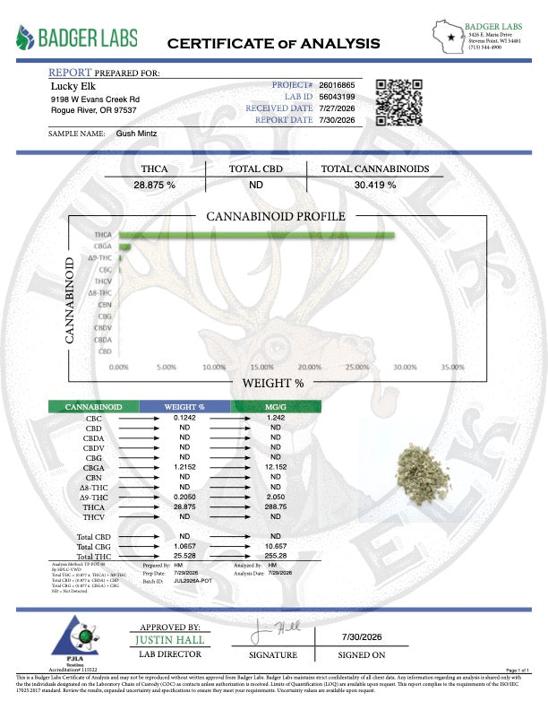 Gush Mints · Greenhouse THCa Flower