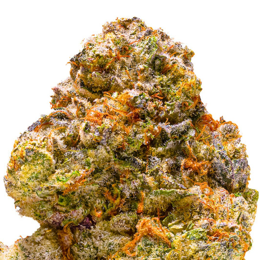 Ooh La La THCa