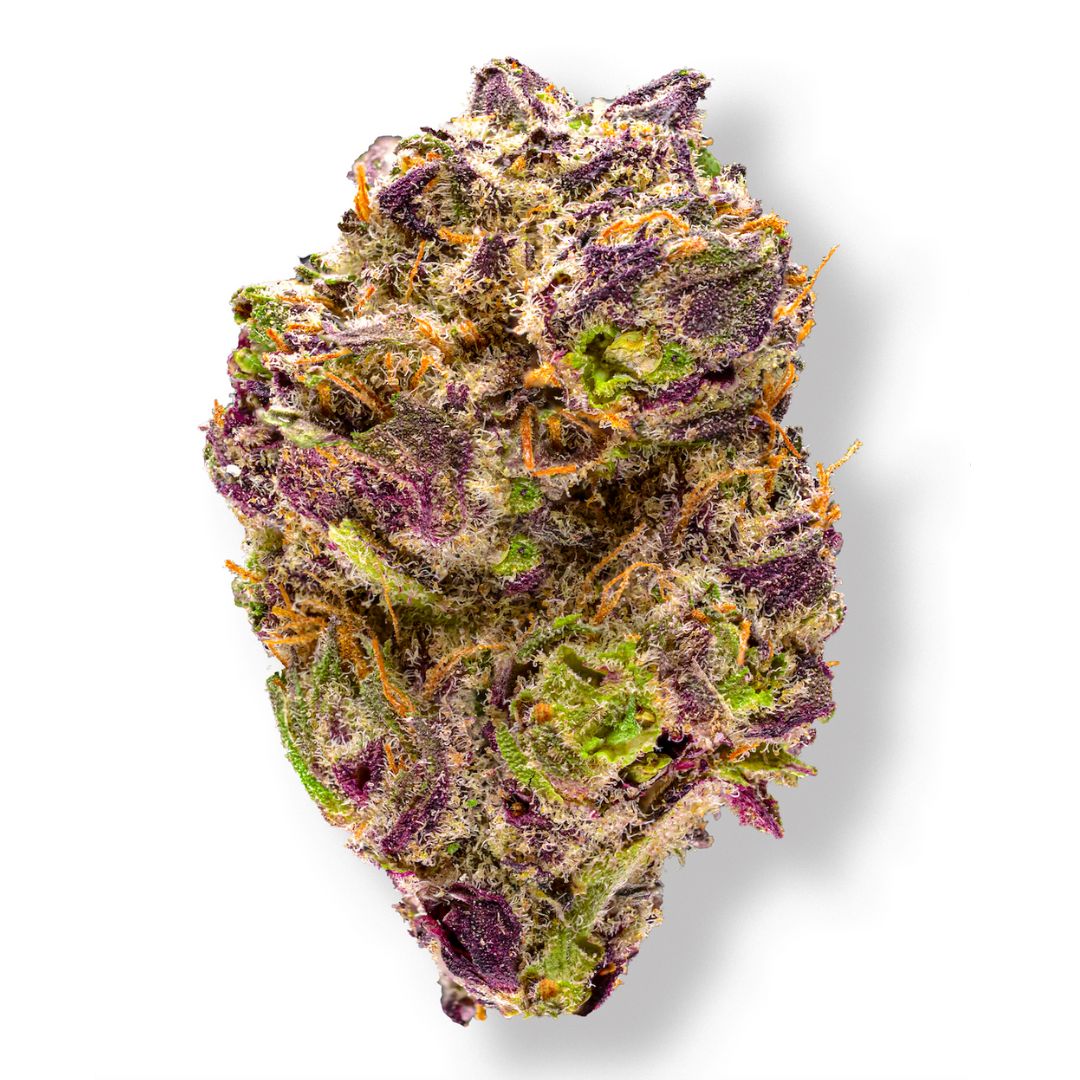 Close-up of a cannabis bud with purple and green colors on a white background