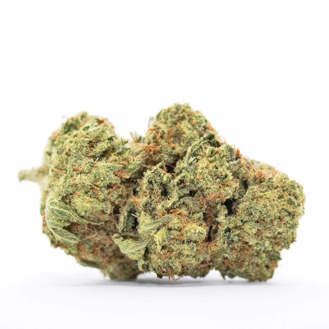 Close-up of a cannabis bud on a white background