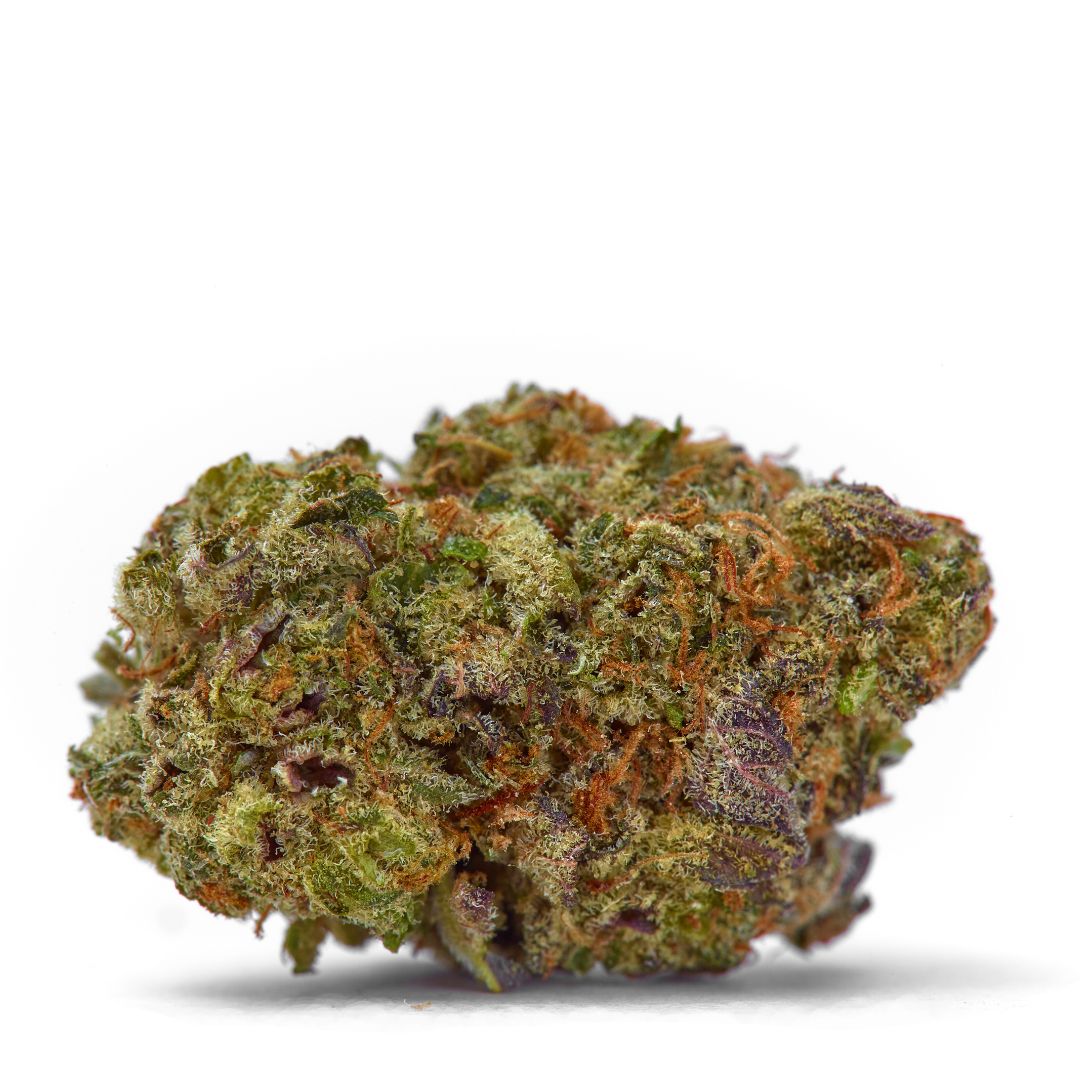 Close-up of a cannabis bud on a white background