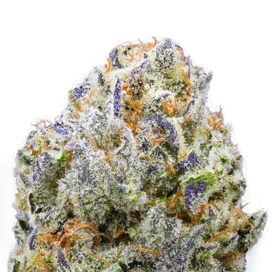 Purple Churro THCa