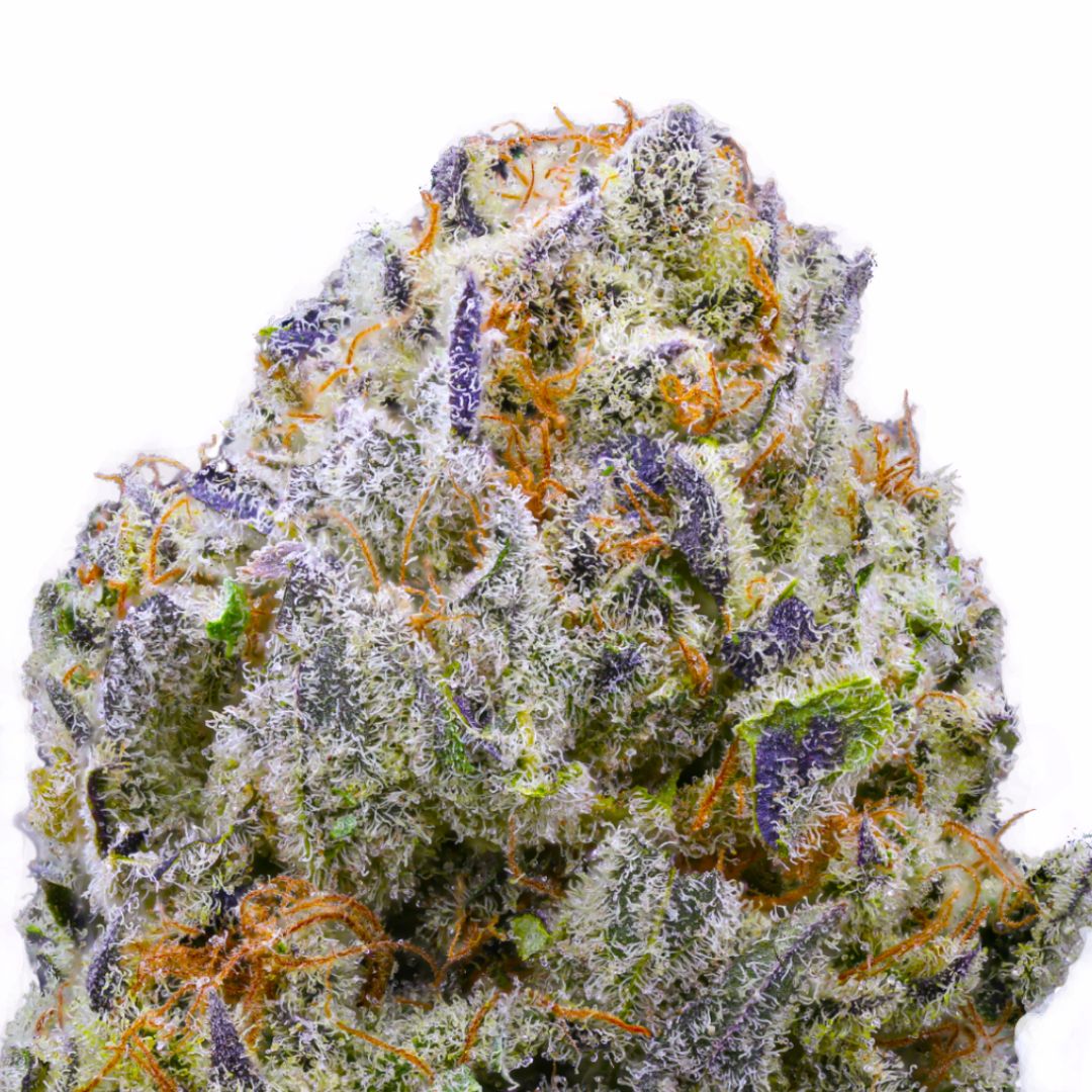 Purple Churro THCa