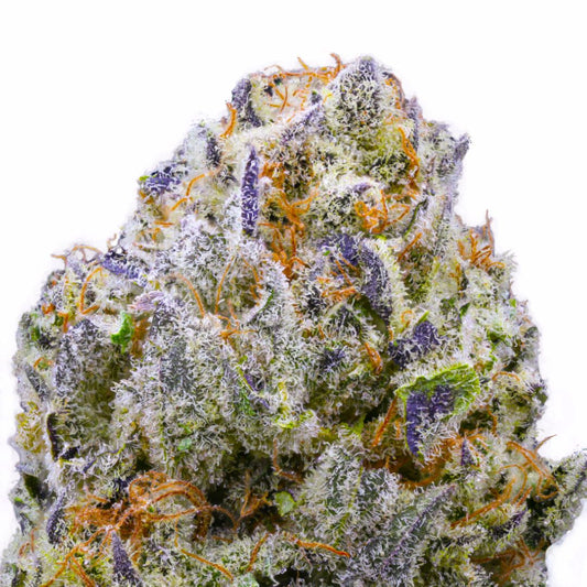 Purple Churro THCa
