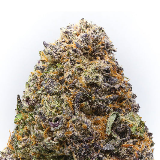 Purple Drank THCa