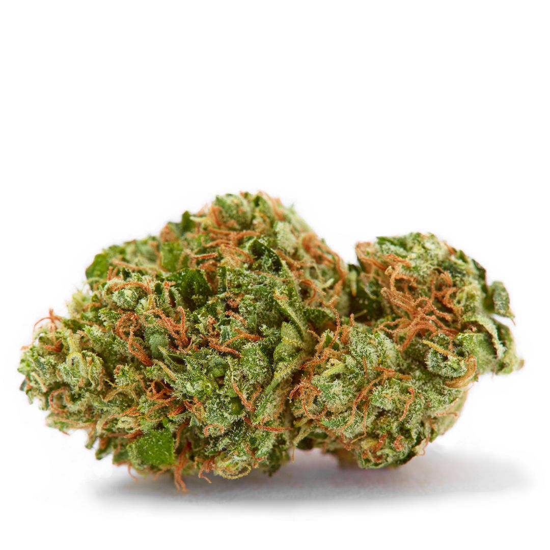 Sherbanger · Sungrown THCa Flower