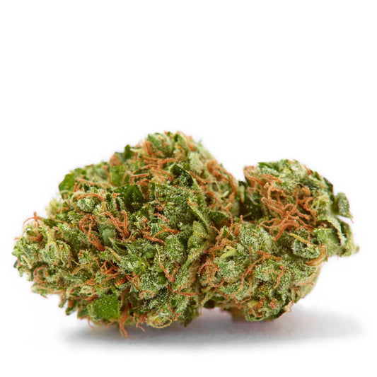 Sherbanger · Sungrown THCa Flower