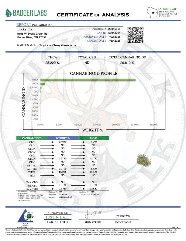 Tropicana Cherry · Greenhouse THCa Flower