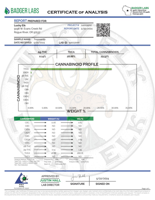 COA Tests 2