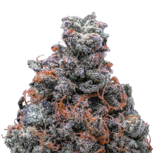 White Runtz THCa
